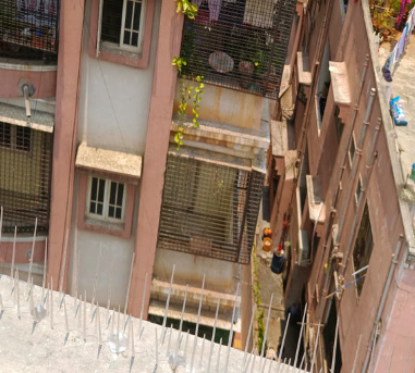 Building perimeter protection with bird spikes