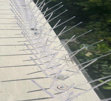 Ledge bird spikes for window sills