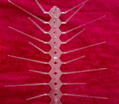Multi-point bird spikes installed on a parapet